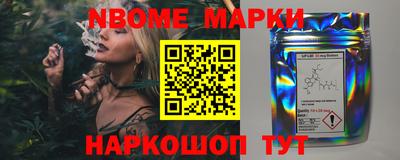 стаф Можга