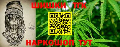 стаф Можга