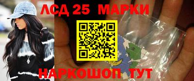 стаф Можга