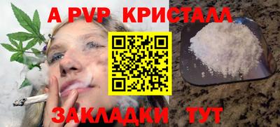 стаф Можга