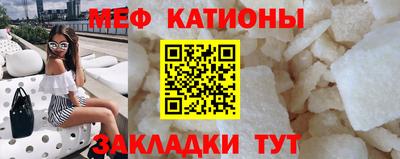 стаф Можга